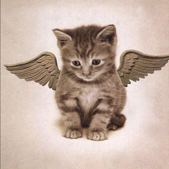 Meet your Posher, Marlena - Picture 2 of 4